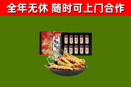 揭阳回收冬虫夏草价格
