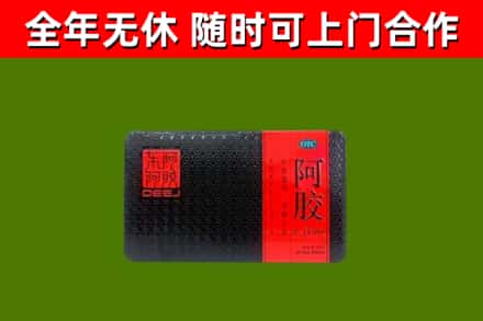揭阳回收阿胶